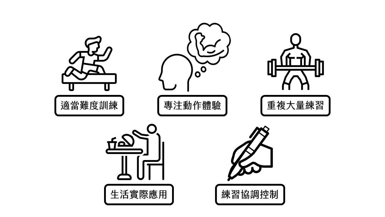 中風復健神經可塑性五大原則