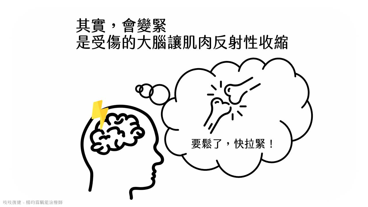 肌肉張力是肌肉反射性收縮