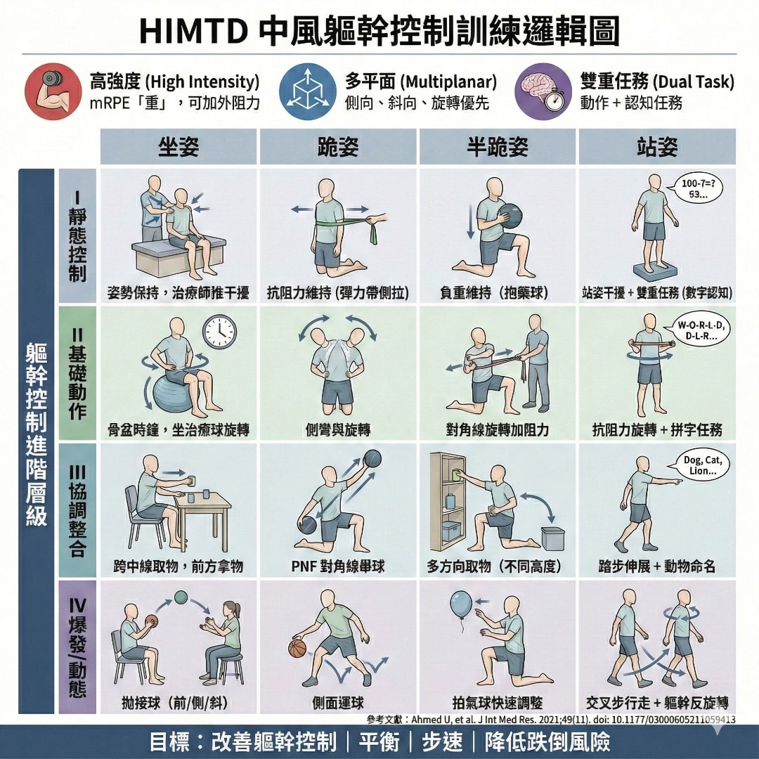中風復健站不穩?研究指出:練核心要「轉」+大腦要「忙」,防跌更接近真實生活 - 第2張圖 中風核心